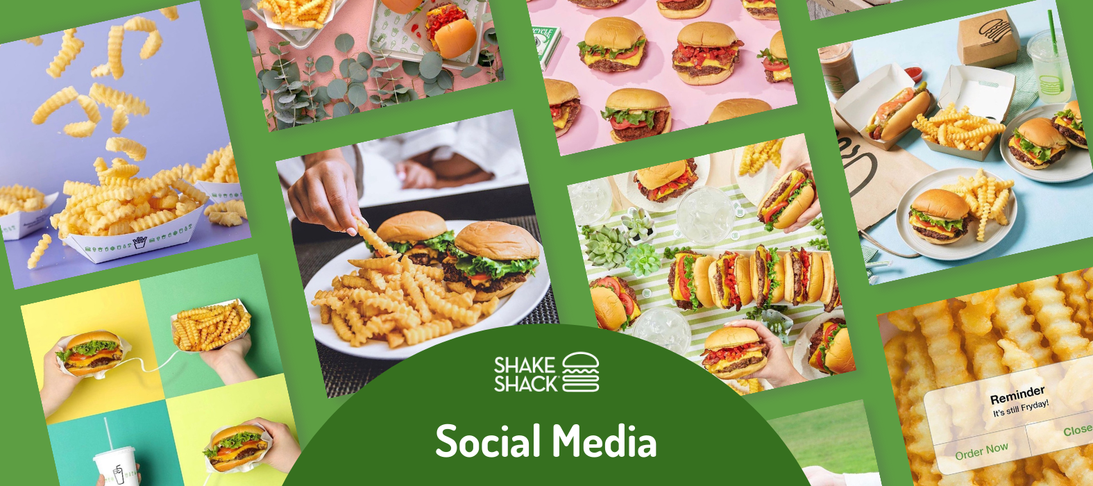 shake shack